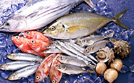 seafood1.jpg