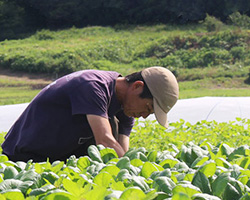 鳥取県鳥取市の生産者